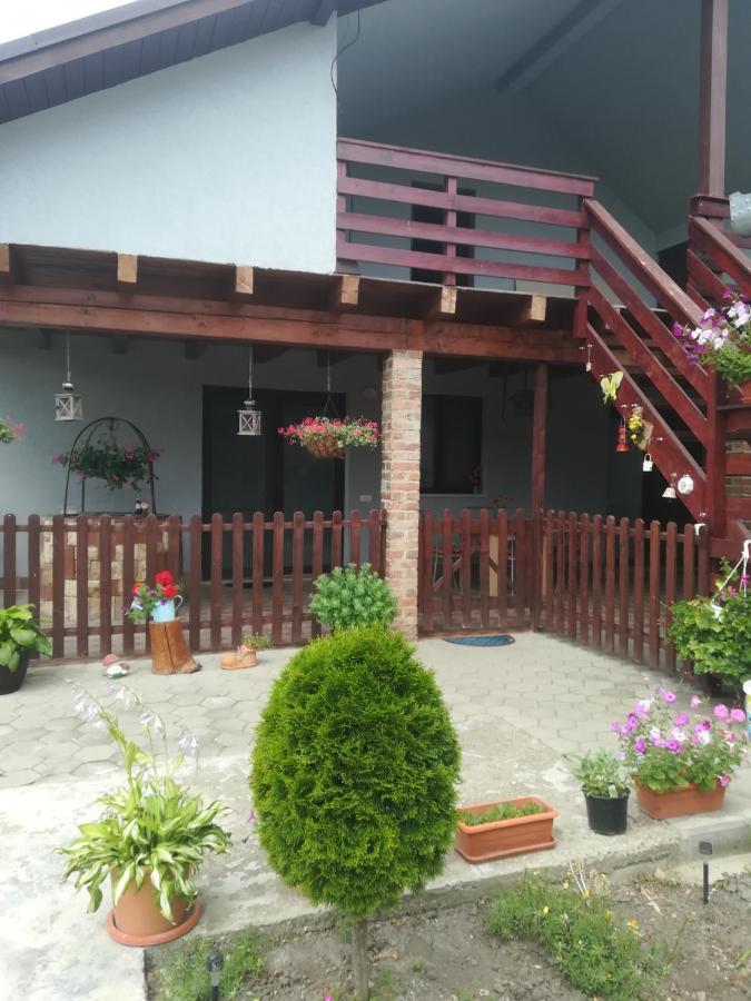 Вилла Casa Ricciotti Tritenii de Jos Экстерьер фото