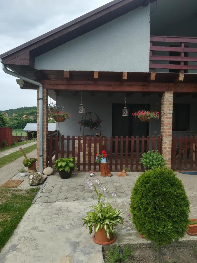 Вилла Casa Ricciotti Tritenii de Jos Экстерьер фото